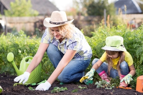 Mamma och dotter planterar grönsaker i trädgårdslandets matjord.