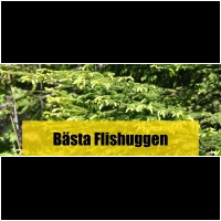 Flishugg