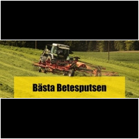 Betesputs