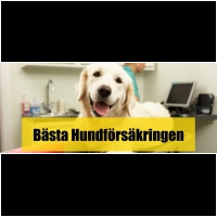Hundförsäkring
