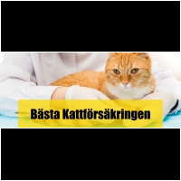 Kattförsäkring
