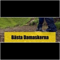 Damasker