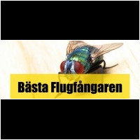 Flugfångare