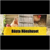 Hönshus