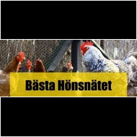 Hönsnät