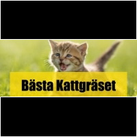 Kattgräs