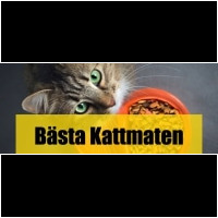 Kattmat