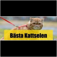 Kattsele