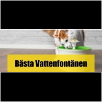Vattenfontän