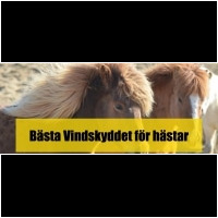 Vindskydd för häst
