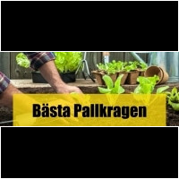 Pallkrage