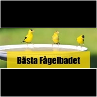Fågelbad