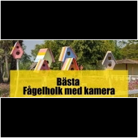 Fågelholk med kamera