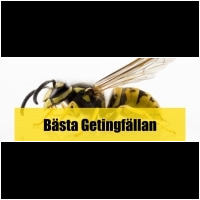 Getingfälla