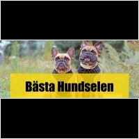Hundsele