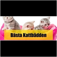 Kattbädd