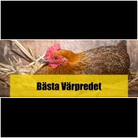 Värprede